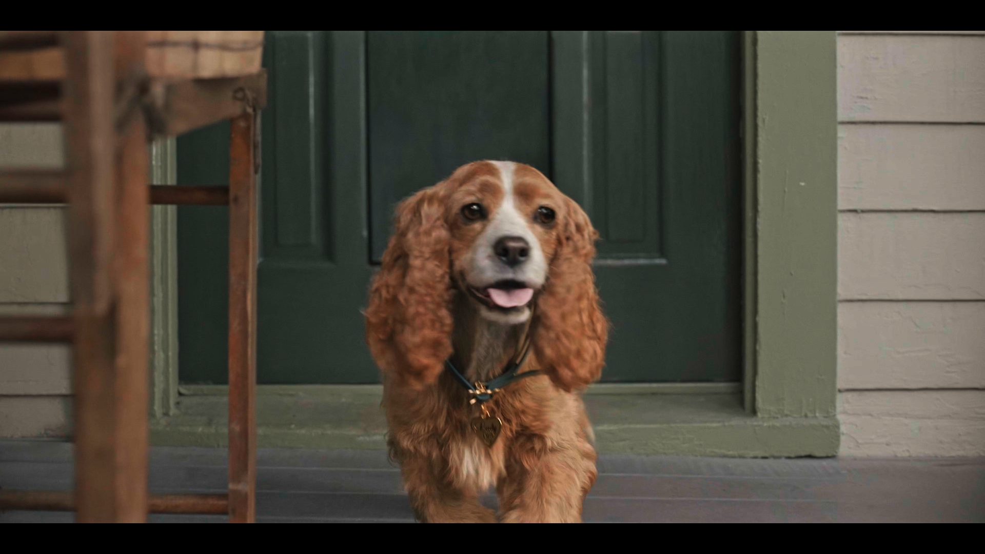 Still 2025 11 01 162053 1.1.3